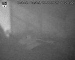 Capi_Dubne_20250603_002002.jpg