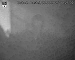 Capi_Dubne_20250603_002502.jpg
