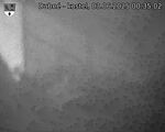 Capi_Dubne_20250603_003502.jpg