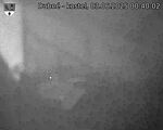 Capi_Dubne_20250603_004003.jpg