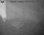 Capi_Dubne_20250603_005502.jpg