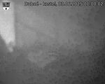 Capi_Dubne_20250603_010002.jpg