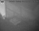 Capi_Dubne_20250603_010502.jpg