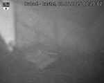 Capi_Dubne_20250603_012002.jpg