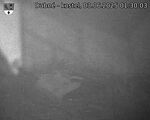 Capi_Dubne_20250603_013003.jpg