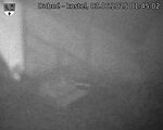 Capi_Dubne_20250603_014502.jpg
