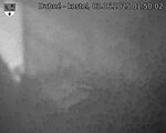 Capi_Dubne_20250603_015002.jpg