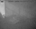 Capi_Dubne_20250603_015503.jpg