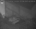 Capi_Dubne_20250603_020002.jpg