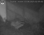 Capi_Dubne_20250603_020502.jpg