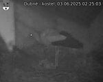 Capi_Dubne_20250603_022503.jpg