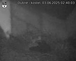 Capi_Dubne_20250603_024003.jpg