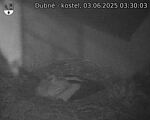 Capi_Dubne_20250603_033003.jpg