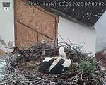 Capi_Dubne_20250603_070002.jpg