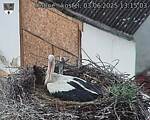 Capi_Dubne_20250603_131503.jpg