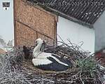 Capi_Dubne_20250603_132004.jpg