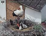 Capi_Dubne_20250603_134003.jpg