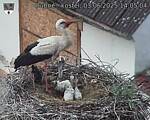 Capi_Dubne_20250603_140504.jpg