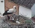 Capi_Dubne_20250603_142003.jpg