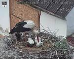 Capi_Dubne_20250603_144003.jpg