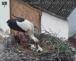 Capi_Dubne_20250603_153503.jpg