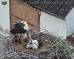 Capi_Dubne_20250603_183002.jpg