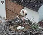 Capi_Dubne_20250603_192503.jpg