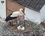 Capi_Dubne_20250603_205504.jpg