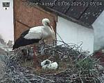 Capi_Dubne_20250603_210504.jpg