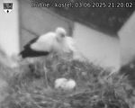 Capi_Dubne_20250603_212002.jpg
