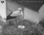 Capi_Dubne_20250603_212503.jpg