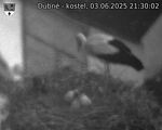 Capi_Dubne_20250603_213002.jpg