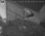 Capi_Dubne_20250603_213502.jpg