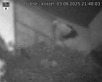 Capi_Dubne_20250603_214003.jpg