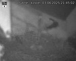 Capi_Dubne_20250603_214502.jpg