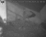 Capi_Dubne_20250603_215002.jpg