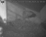 Capi_Dubne_20250603_215503.jpg