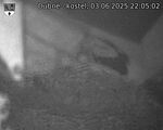 Capi_Dubne_20250603_220502.jpg