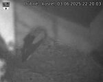 Capi_Dubne_20250603_222003.jpg