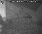 Capi_Dubne_20250603_231502.jpg