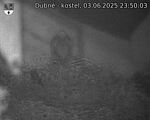 Capi_Dubne_20250603_235003.jpg