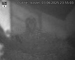 Capi_Dubne_20250603_235503.jpg