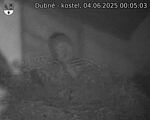 Capi_Dubne_20250604_000503.jpg