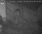 Capi_Dubne_20250604_001502.jpg