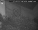 Capi_Dubne_20250604_002003.jpg