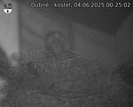 Capi_Dubne_20250604_002502.jpg