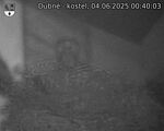 Capi_Dubne_20250604_004003.jpg