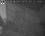 Capi_Dubne_20250604_005503.jpg