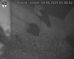 Capi_Dubne_20250604_010002.jpg