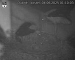 Capi_Dubne_20250604_011003.jpg